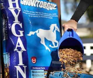 Hygain
